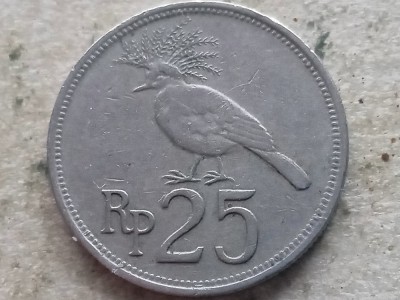 INDONESIA-25 RUPIAH 1971 foto