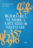 Rezonarea numerica a ecuatiilor neliniare - P. Popovici, O. Cira