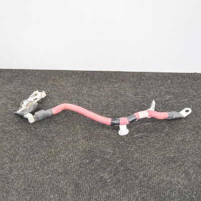 Cablu baterie pozitiv TESLA MODEL X 2016 OEM: 1036883-00-E 4111145 foto