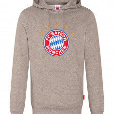 Bayern München hanorac de bărbați cu glugă Logo grey - XL