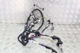 Cablaj ușă st&acirc;nga față TESLA MODEL S 2017 OEM: 1004419-91-U 14333585