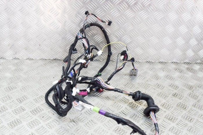 Cablaj ușă st&acirc;nga față TESLA MODEL S 2017 OEM: 1004419-91-U 14333585