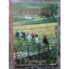 Introducing Ponies - Alan Delgado