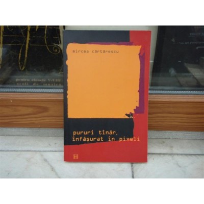 PURURI TANAR, INFASURAT IN PIXELI de MIRCEA CARTARESCU, 2005 foto
