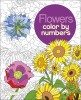 Flowers Color by Numbers