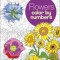 Flowers Color by Numbers