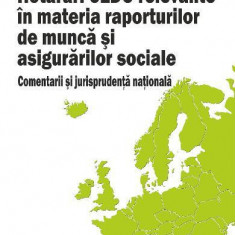 Hotărâri CEDO relevante în materia raporturilor de muncă și asigurărilor sociale - Paperback brosat - Răzvan Anghel - Rosetti Internaţional