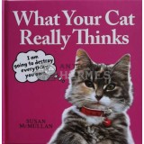 What your cat really thinks - 2014 - Susan McMullan (B28)
