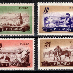 Romania 1955, LP 400, Zootehnie, seria, MNH!