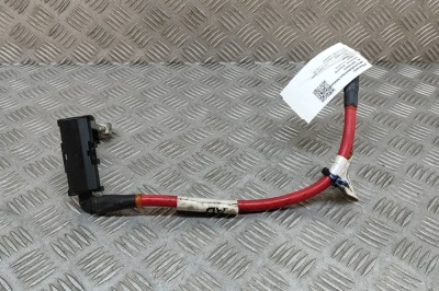 Cablu baterie pozitiv JAGUAR I-PACE X590 2020 OEM: J9D3-14N184-AD,J9D3-14K016-CA 28100035 foto