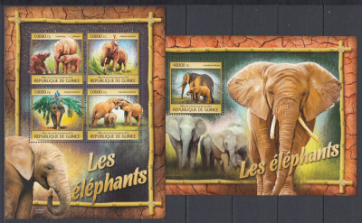 Guinea 2016 - ELEFANTI - BL + KB - MNH foto