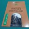 GEOLOGIE ȘI PALEONTOLOGIE /RADU ALEXANDRA TEODORA / 2003 * 20