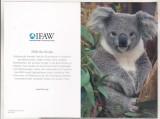 bnk cp Koala - felicitare necirculata