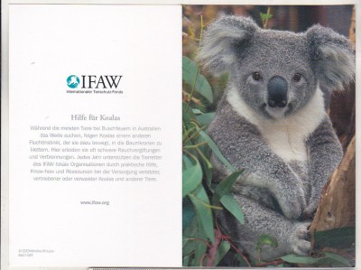 bnk cp Koala - felicitare necirculata foto