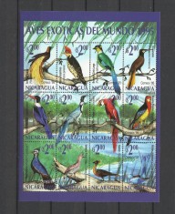 NICARAGUA 1995 FAUNA PASARI EXOTICE foto