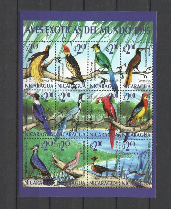 NICARAGUA 1995 FAUNA PASARI EXOTICE
