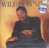 Vinil LP Will Downing - Will Downing (1988) Island Records, Country/Jazz, 33 RPM