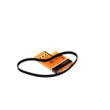 Curea distributie continental