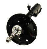 Amortizor TOYOTA RAV 4 II (_A2_) (2000 - 2005) MAXGEAR 11-1168