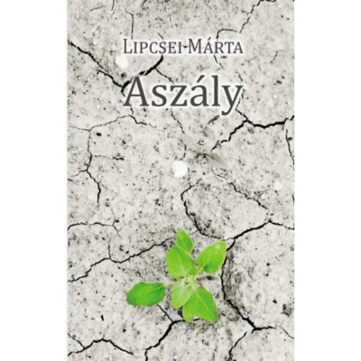 Asz&amp;aacute;ly - Lipcsei M&amp;aacute;rta foto