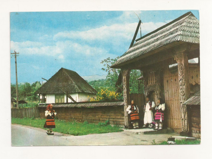 RF39 -Carte Postala- Sat Sugatag, jud Maramures, necirculata 1979