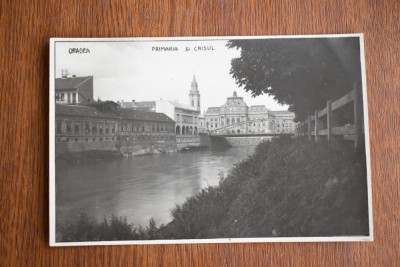 CP Oradea Primaria si Crisul foto