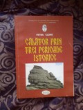 e1 Calator prin trei perioade istorice - Petra Clont
