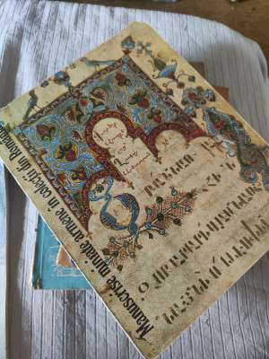 Sylvia Agemian - Manuscrise miniate armene &amp;icirc;n colecții din Rom&amp;acirc;nia foto
