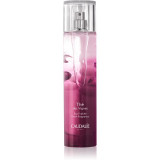 Caudalie Th&eacute; Des Vignes Eau de Toilette cu efect revigorant pentru femei 100 ml