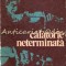 Calatorie Neterminata - Yehudi Menuhin
