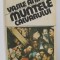 MUNTELE CALVARULUI de VASILE ANDRU , 1991