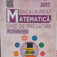 BACALAUREAT MATEMATICA. GHID DE PREGATIRE MATE-INFO 2017-CAMELIA MARIA MAGDAS, MONICA MURESAN SI COLAB.