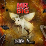 MR BIG What If digipack (cd+dvd)