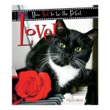 How Not to Be the Perfect Lover