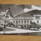 MRC - CARTI POSTALE SINAIA NR 2