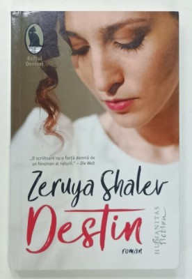 DESTIN de ZERUYA SHALER , 2023 foto