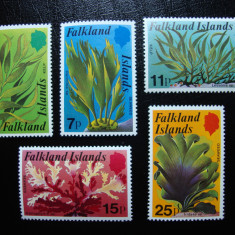 FALKLAND ISLANDS SERIE FLORI MNH