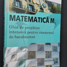 MATEMATICA M1 GHID DE PREGATIRE INTENSIVA PENTRU EXAMENUL DE BACALAUREAT