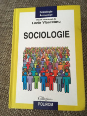 Lazar Vlasceanu-Sociologie foto