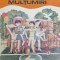 Un milion de multumiri - 1985 - Irimie Straut ($Z29)