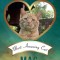Mac: Most Amazing Cat
