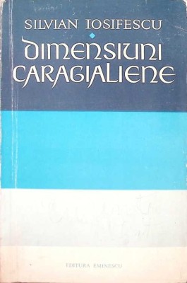 DIMENSIUNI CARAGIALIENE-SILVIAN IOSIFESCU-268199 foto