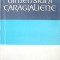 DIMENSIUNI CARAGIALIENE-SILVIAN IOSIFESCU-268199