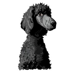Sticker decorativ Caine, Negru, 90 cm, 7725ST foto