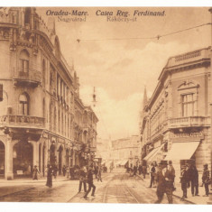 1418 - ORADEA, Ferdinand street, tramway, Romania - old postcard - unused