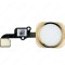 Flex Fingerprint iPhone 6, iPhone 6 Plus, Gold