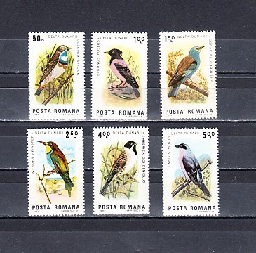 A11 TX6 7 - 1983 - Pasari din Delta Dunarii foto