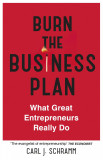 Burn The Business Plan | Carl J. Schramm, Hodder &amp; Stoughton General Division
