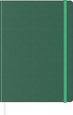 Agenda notes A5 Velvet cu elastic Emerald foto