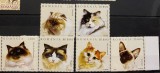 ROMANIA 2006 LP1707 Pisici, serie MNH